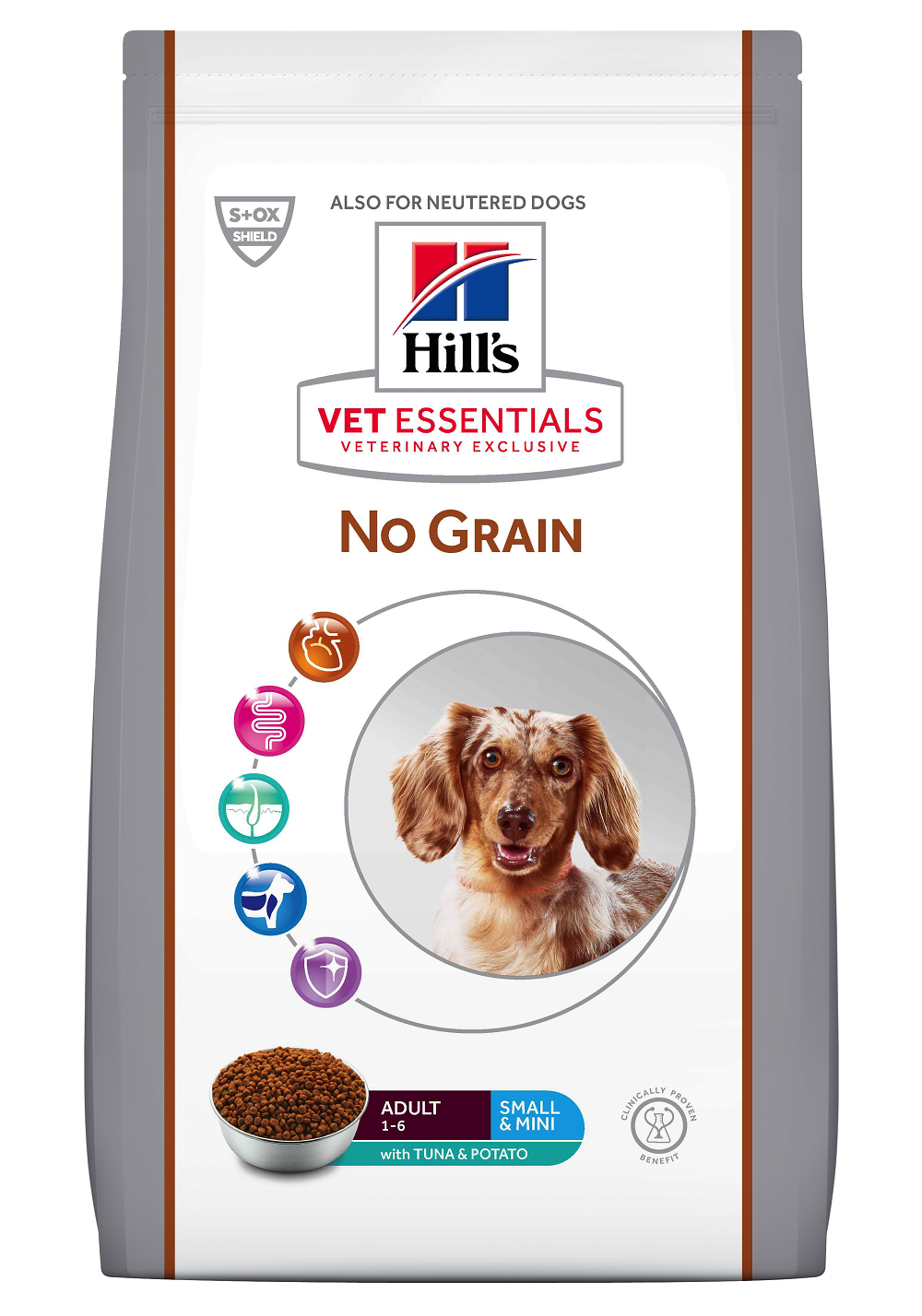 no grain diet for dogs