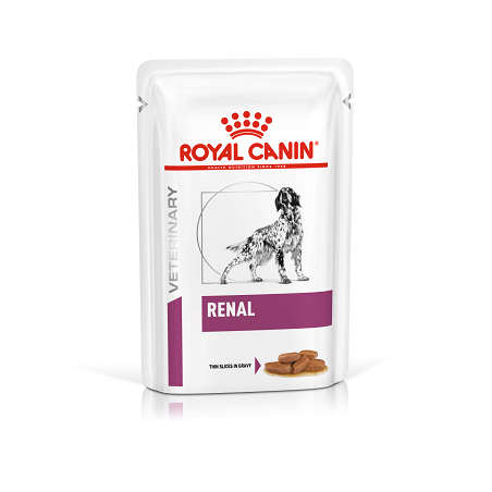 Dog Renal