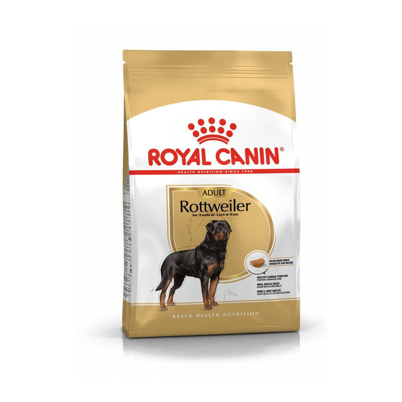 Rottweiler Adult