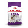 Dog Giant Adult