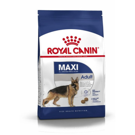 Dog Maxi Adult