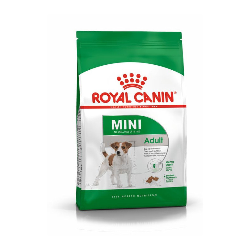 Dog mini adult