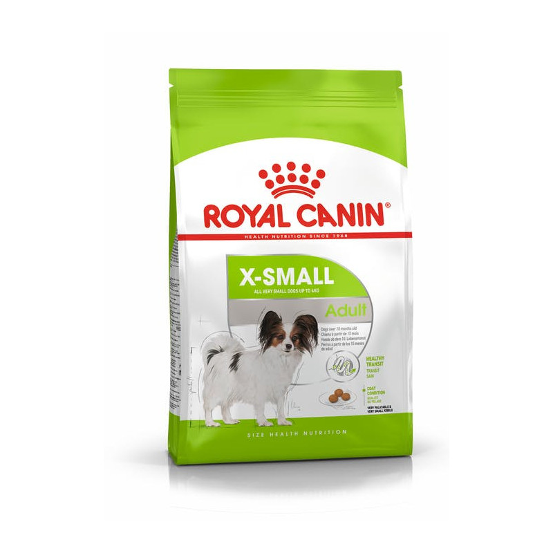 X-Small Adulte Chien