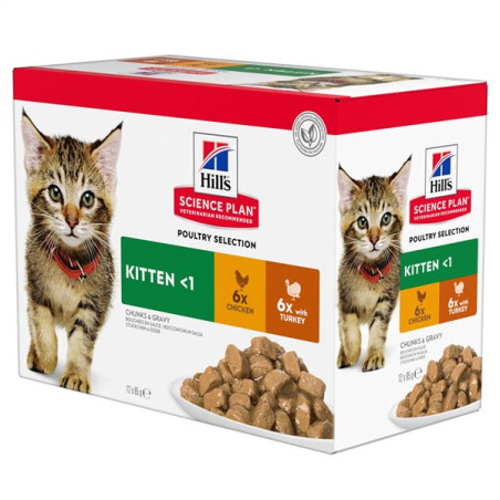 Feline Kitten Pack Volaille en Sauce