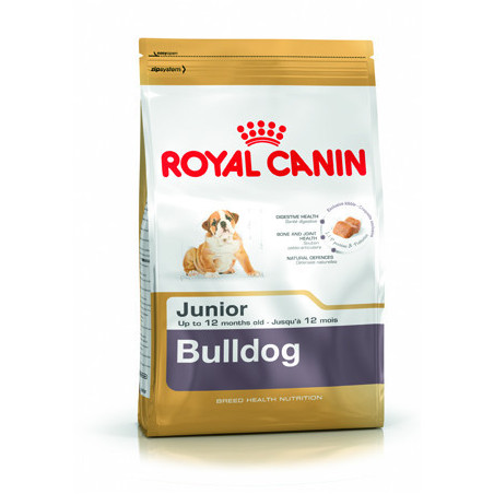 Bulldog Junior