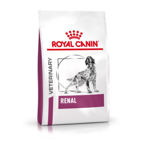 Dog Renal