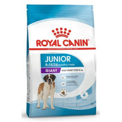 Dog Giant Junior