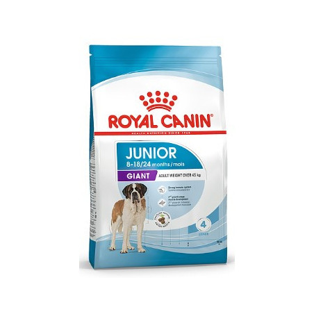 Dog Giant Junior