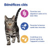 Vetessentials Feline Adult Multi Benefit Kip