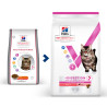 Feline Healthy Digestive Biome Saumon