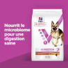 Hond Adult Healthy Digestive Biome Large Breed