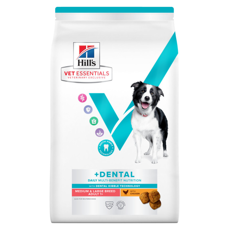 Canine Adult Dental Health