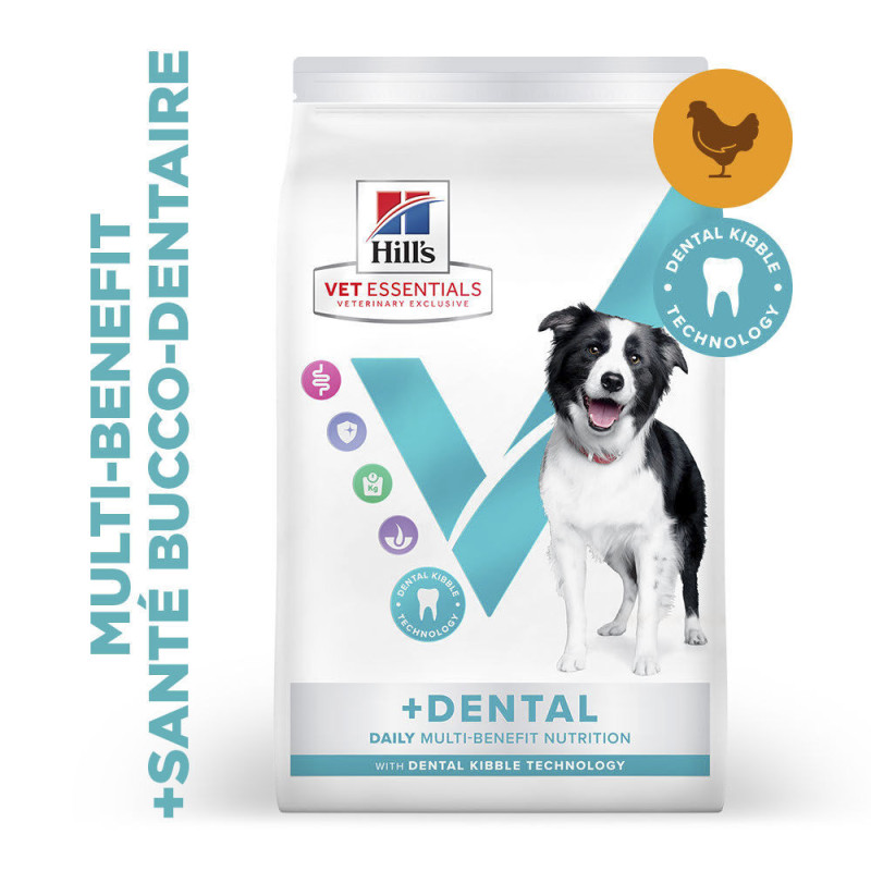 Canine Adult Dental Health