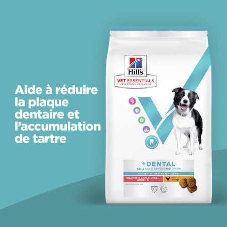 Canine Adult Dental Health