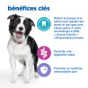 Canine Adult Multi Benefit Dental Medium Large Kip