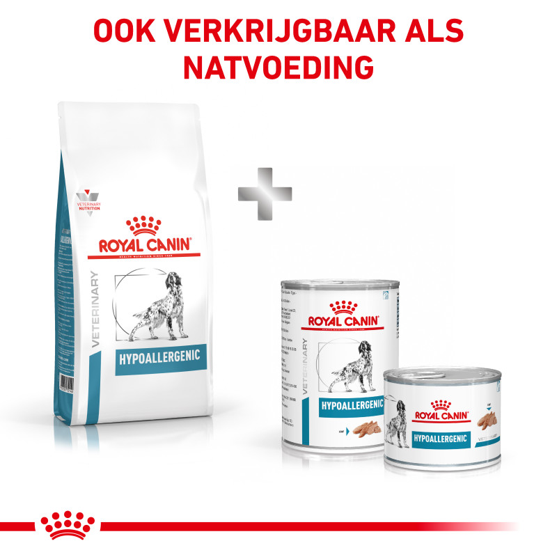 Hypoallergenic Chien DR21