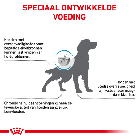 Hypoallergenic Chien DR21