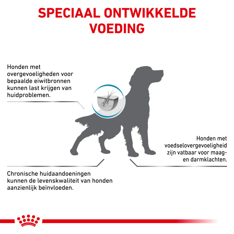 Dog Anallergenic