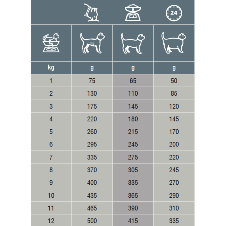 Chat FJW Joint Support