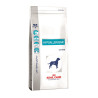 Hypoallergenic Dog DR21