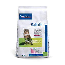 Adult Neutered Cat