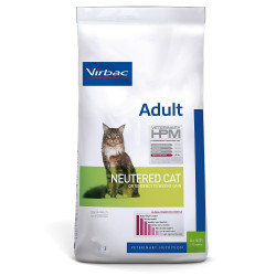 Adult Neutered Cat