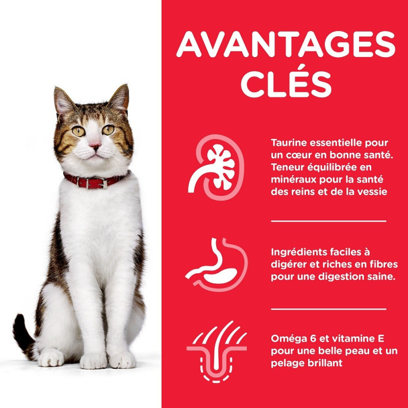 Feline Mature Pack mixte