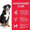 Canine Adult Large Poulet