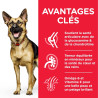 Canine Mature Large Poulet