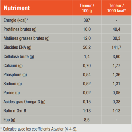 CDD Food Allergy Management Dog