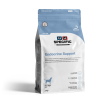 Chien CED Endocrine Support